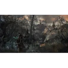ვიდეო თამაში Sony PS4 Game Bloodborne, 8 image