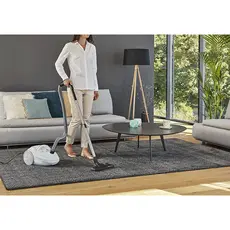 მტვერსასრუტი ROWENTA RO3927EA, 4 image