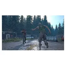 ვიდეო თამაში Game for PS4 Days Gone, 4 image