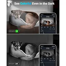 ვიდეო სათვალთვალო კამერა Blurams A31C Lumi, Indoor Security Camera, White, 6 image