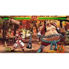 ვიდეო თამაში Sony PS4 Game Samurai Shodown, 6 image