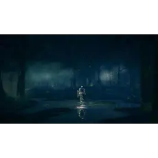 ვიდეო თამაში Sony PS4 Game Dark Soul Trilogy, 7 image