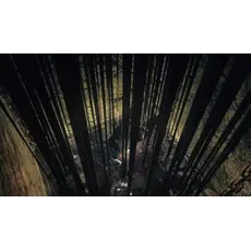 ვიდეო თამაში Sony PS4 Game Dark Soul Trilogy, 5 image