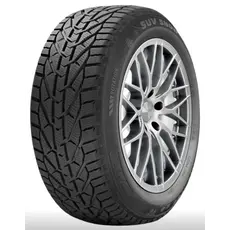 საბურავი Riken 225/45R17 94H Snow