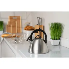 ჩაიდანი Ardesto Kettle Gemini, 2.5l, stainless steel, 5 image
