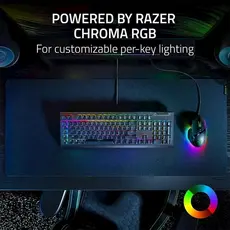 Razer Keyboard mechanical BlackWidow V4 X, 110key, Green Switch, USB-A, EN, RGB, black, 6 image