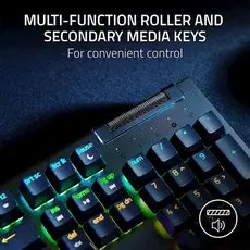 Razer Keyboard mechanical BlackWidow V4 X, 110key, Green Switch, USB-A, EN, RGB, black, 3 image