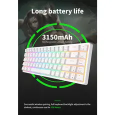 კლავიატურა Royal Kludge RK G68 RGB Mechanical Keyboard, Red switch, Hot Swappable, Wireless, USB Type-C, 2.4 GHz, Bluetooth, White, 5 image