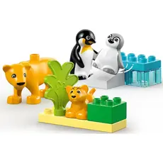 ლეგო LEGO Constructor Wild Animal Families: Penguins & Lions, 3 image