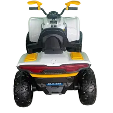 საბავშვო ელექტრო მანქანა DLX-288-Y, 6 image