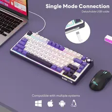 კლავიატურა Royal Kludge RK R75 RGB Mechanical Keyboard, Brown switch, Hot Swappable, Hot Swappable, Type-C wired, Blackberry, 6 image