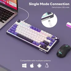 კლავიატურა Royal Kludge RK R75 RGB Mechanical Keyboard, K silver switch, Hot Swappable, Type-C wired, Blackberry, 6 image