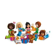 ლეგო LEGO Constructor Advent Friends 2025, 5 image