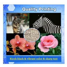 კარტრიჯი HXOULP Drum cartridge Xerox Prime Link B9100 Black, 3 image