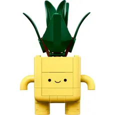 LEGO Constructor Botanicals Happy Plants, 3 image