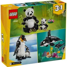 ლეგო LEGO Constructor Creator Wild Animals Panda Family, 4 image