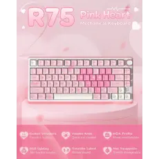 Royal Kludge RKR75-PM-XW RGB Mechanical Keyboard, Beige Switch, Hot Swappable, Wired, USB, Pink Melody, 7 image