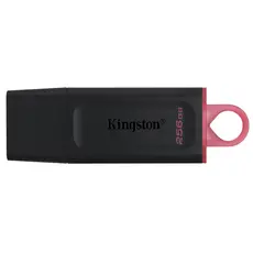 ფლეშ მეხსიერება Flash Kingston 256GB DTX