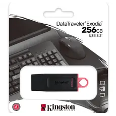 ფლეშ მეხსიერება Flash Kingston 256GB DTX, 3 image