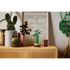 LEGO Constructor Botanicals Lucky Bamboo, 5 image