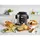 მულტსახარში Ninja OL650EU, 1760W, 7.5L, Multifunction Cooker, Silver/Black, 5 image