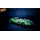 ვიდეო თამაში Game for PS4 Hot Wheels Unleashed, 9 image