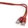 ქსელის კაბელი Gembird PP12-0.25M/R Patch Cord UTP CAT5E 0.25m, 3 image