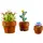 ლეგო LEGO Constructor Icons Tiny Plants, 4 image