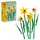 ლეგო LEGO Constructor ICO DAFFODILS, 2 image