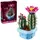 ლეგო LEGO Constructor Botanicals Flowering Cactus, 2 image