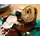 ლეგო LEGO Constructor Ideas Floating Sea Otters, 7 image