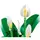 ლეგო LEGO Constructor Botanicals Peace Lily, 4 image