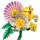 ლეგო LEGO Constructor Botanicals Petite Sunny Bouquet