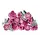 ლეგო LEGO Constructor Botanicals Bouquet of Pink Roses, 2 image