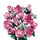ლეგო LEGO Constructor Botanicals Bouquet of Pink Roses, 3 image