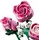ლეგო LEGO Constructor Botanicals Bouquet of Pink Roses, 4 image