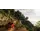 თამაში Sony PS5 Game Test Drive Unlimited Solar Crown, 2 image