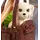 Barbie Doll & Pets MATTEL, 4 image