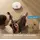 Robot vacuum Dreame Robot Vacuum L50s Pro Ultra White (RLL88HE) EUA, 3 image