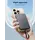 UGREEN PB526 Portable Charger (75161B) 10000mAh 20W Power Bank with Built-in Cable, 3 image