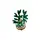 LEGO Constructor Botanicals Lucky Bamboo, 3 image