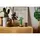 LEGO Constructor Botanicals Lucky Bamboo, 5 image