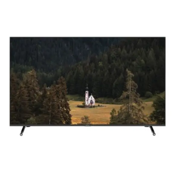 ტელევიზორი SUNNY SN50FIL252/0276