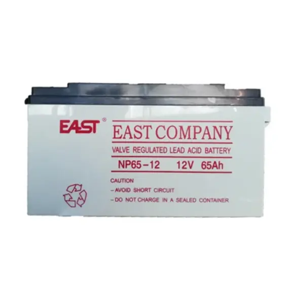 აკუმულატორი EAST NP65-12 12V/65Ah UPS battery
