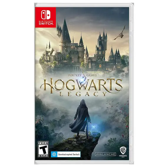 ვიდეო თამაში Nintendo Switch Game Hogwarts Legacy