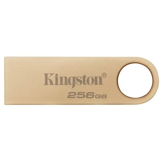 USB ფლეშ მეხსიერება Kingston 128GB DataTraveler SE9 G3 256GB