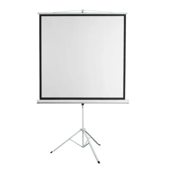პროექტორის ეკრანი SBOX PSMT-135-2 / 240x240cm - Tripod