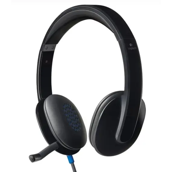 ყურსასმენი LOGITECH H540 Corded Headset - BLACK - USB