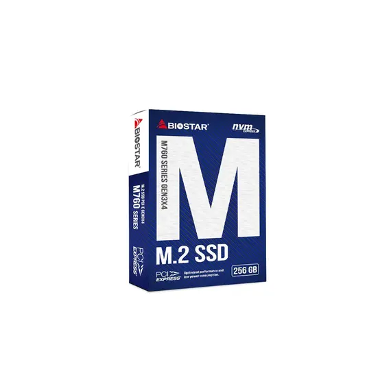 Hard drive BioStar M760-256GB
