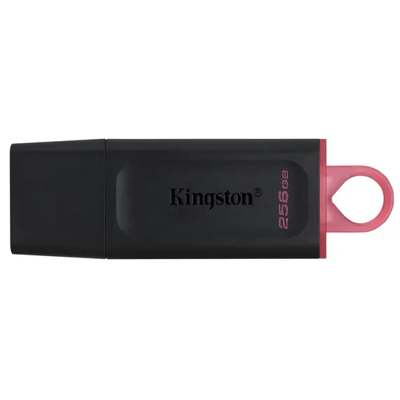 ფლეშ მეხსიერება Flash Kingston 256GB DTX